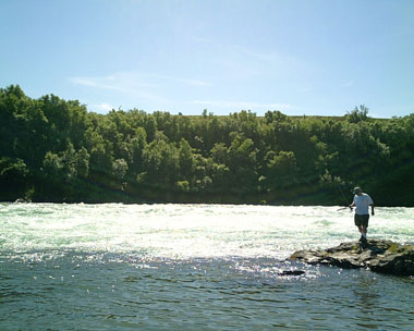 Click to Enlarge
