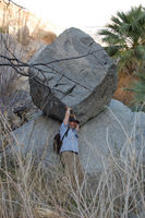 John holding up a boulder