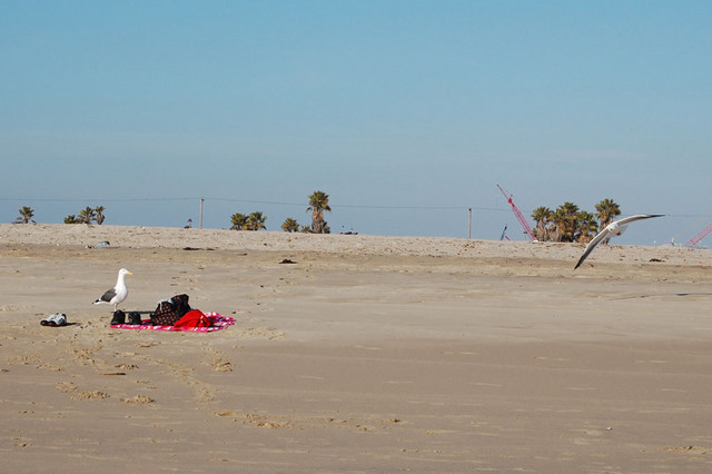 February 17, 2008 - Huntington Beach, Calif