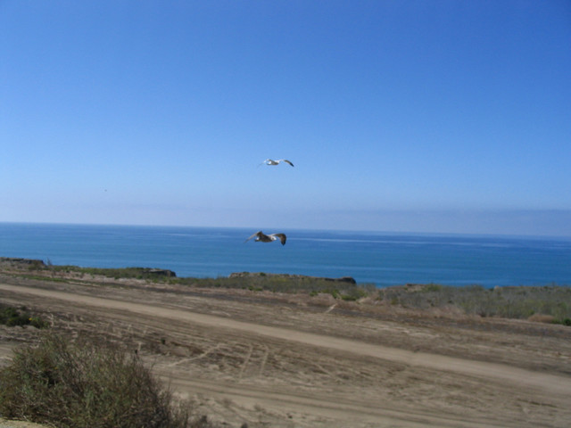 Scenic Vista, I-5 North of Oceanside, CA