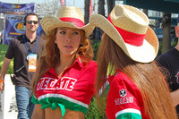 Tecate Girls