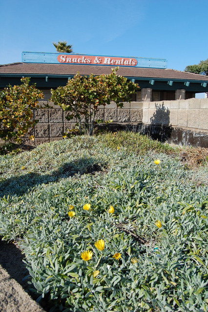 February 17, 2008 - Huntington Beach, Calif