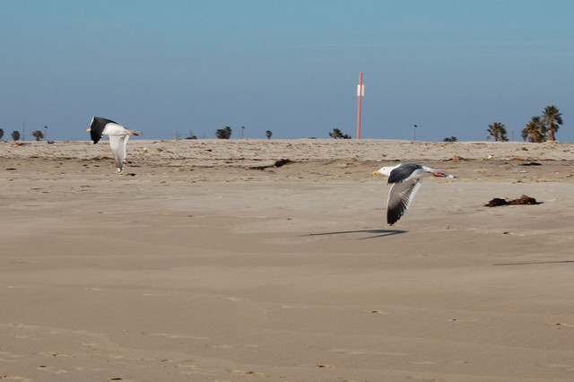 February 17, 2008 - Huntington Beach, Calif
