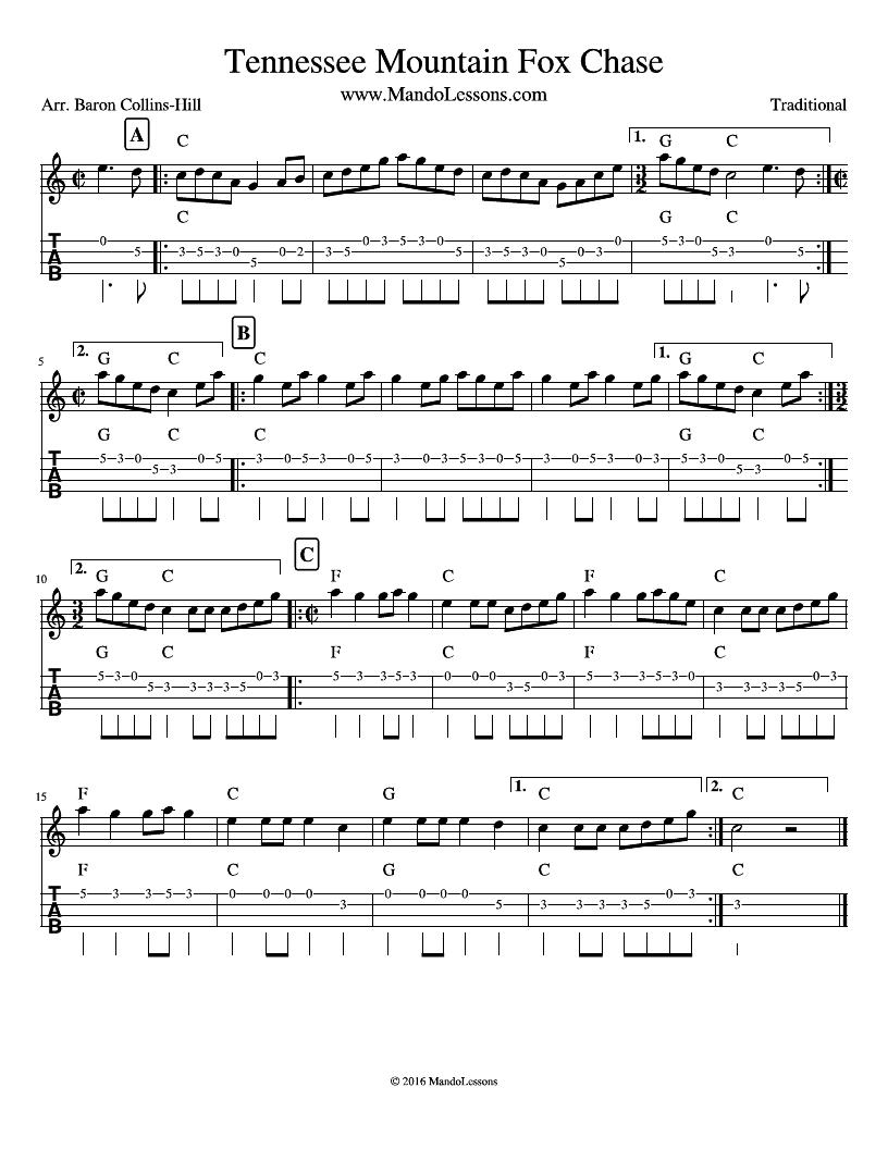 Tennessee Mountain Fox Chase