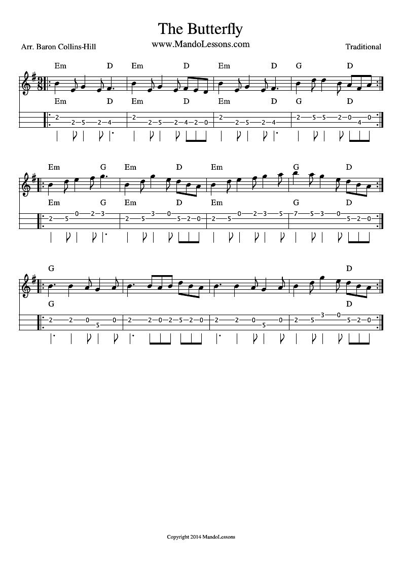 <em>The</em> Butterfly