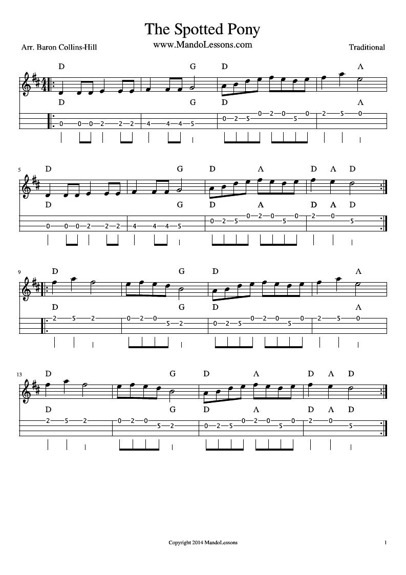 <em>The</em> Spotted Pony